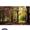 1200reeds tableau rug, 50*100 centimeters, code 2158T